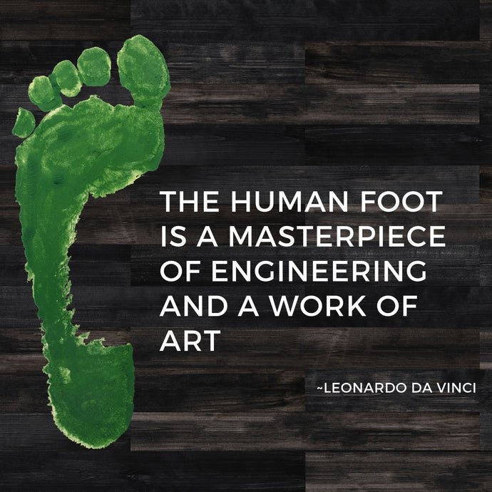 ZaTech® plantar fasciitis compression socks banner on black wood and green footprint. Text reads the human foot is a masterpiece of engineering and a work of art; by Leonardo Da Vinci